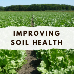 Improving soil health