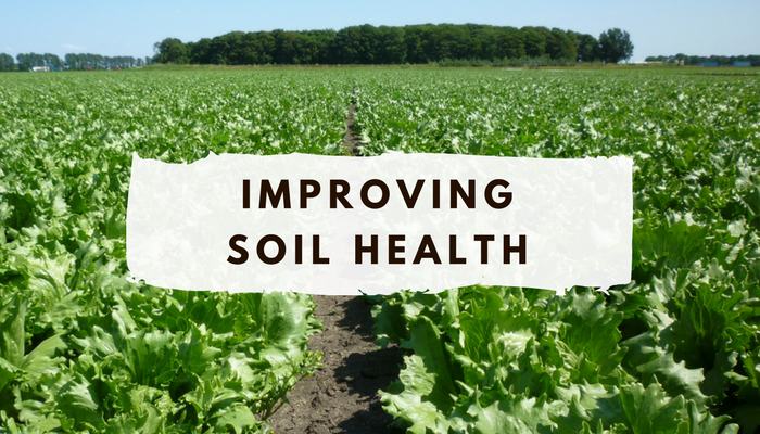 Improving soil health