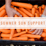 Summer Sun Support