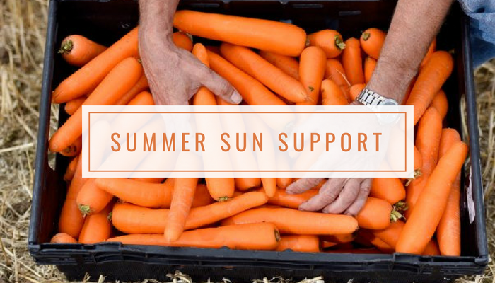 Summer Sun Support