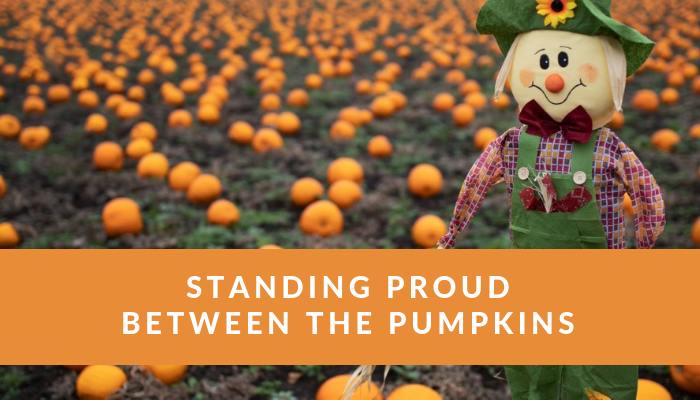 Standing proud between the pumpkins