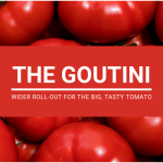 The Goutini