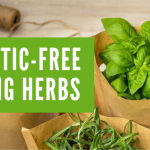 Plastic-free living herbs