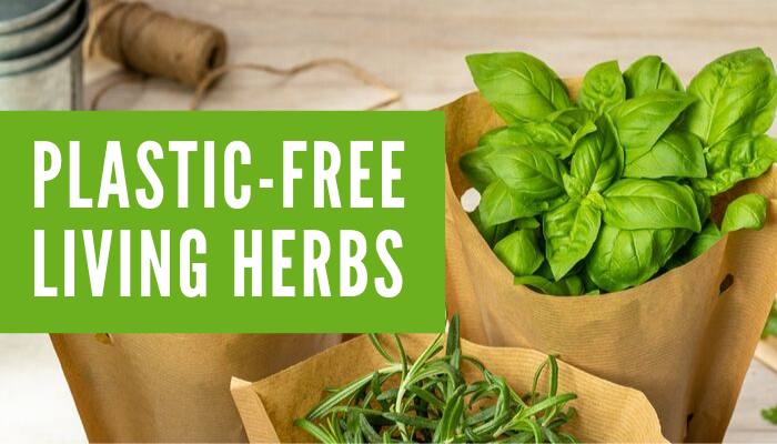Plastic-free living herbs