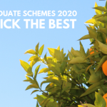 IPL Graduate Schemes 2020