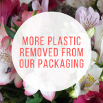 More plastic removed from our packaging