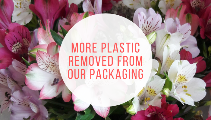 More plastic removed from our packaging