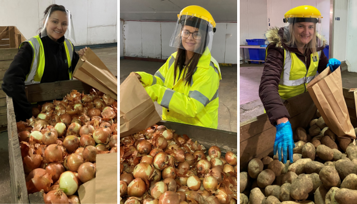 IPL colleagues hand-picking potatoes and onions