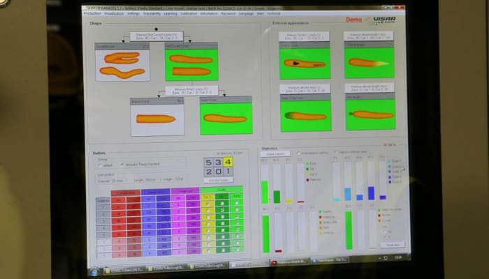 Carrot grading technology